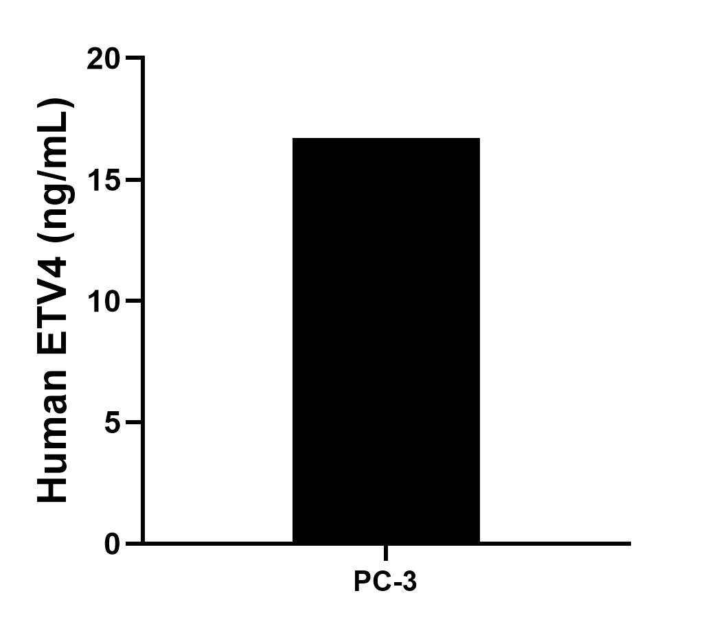 The mean ETV4 concentration was determined to be 16.70 ng/mL in PC-3 cell extract based on a 1.20 mg/mL extract load.